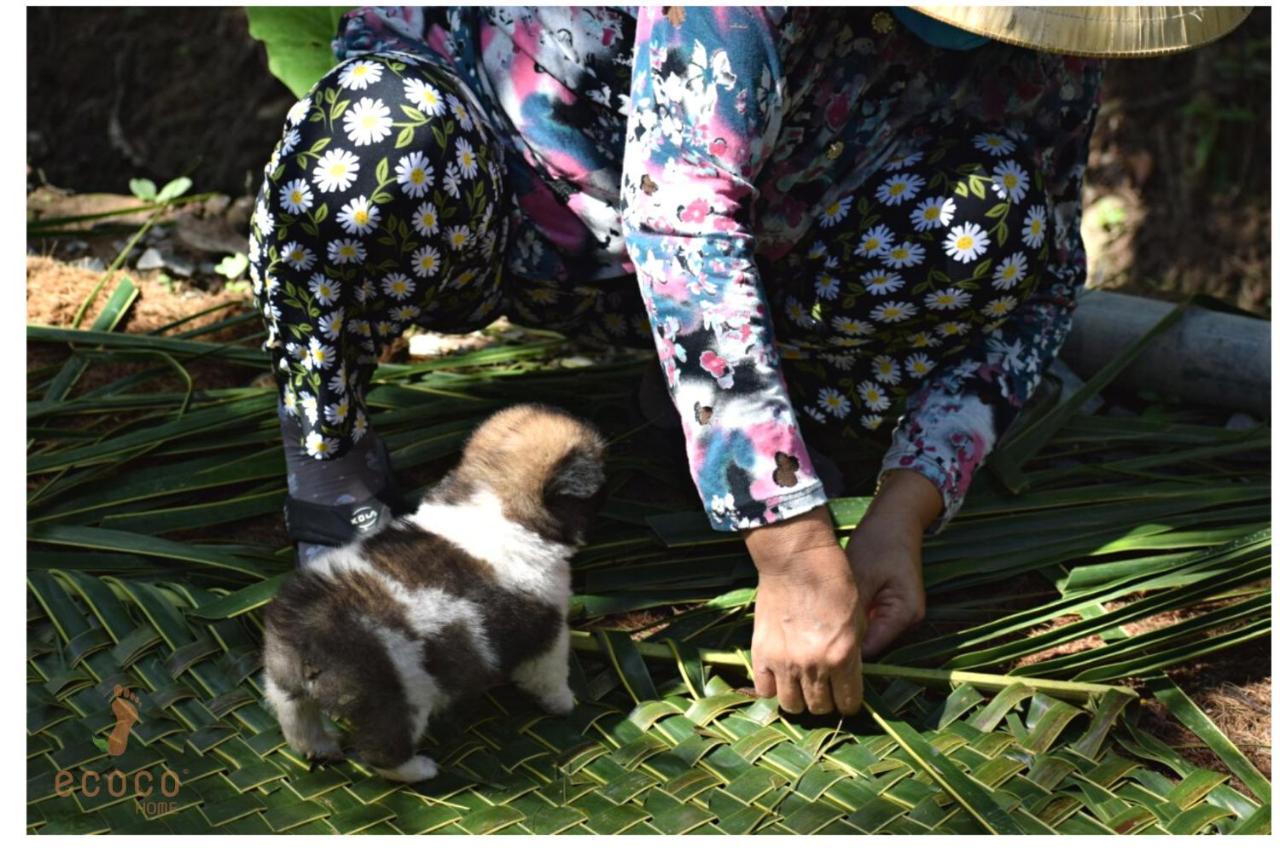 Ecoco Homestay Mekong Ben Tre 外观 照片